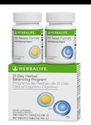 21 Day Balancing Program